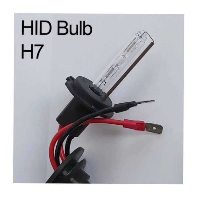 Bohlam Bulb Lampu HID H7 6000k