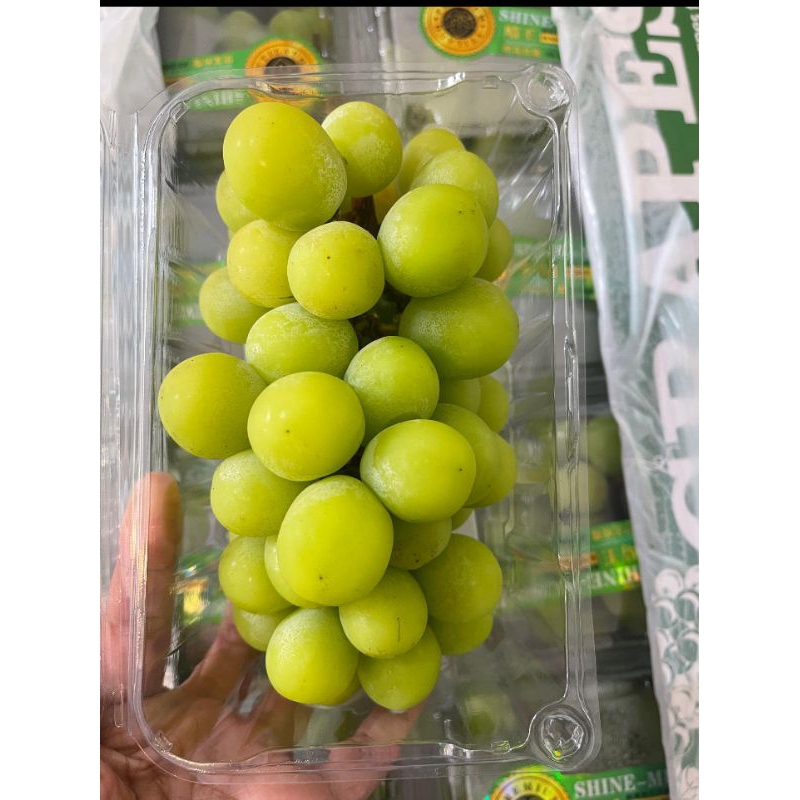 

Anggur Shine Muscat China