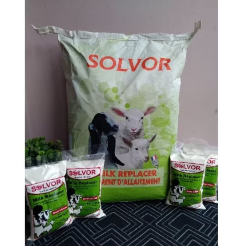 susu solvor 1000gr . susu untuk kambing / sapi