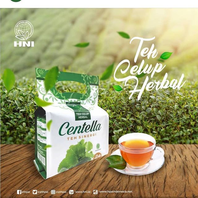

Centella Teh Sinergi | Teh Celup Herbal HNI | ORIGINAL HALAL BPOM