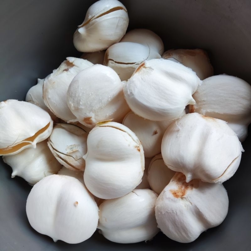 Buah Lontar Siwalan kupas 10 biji