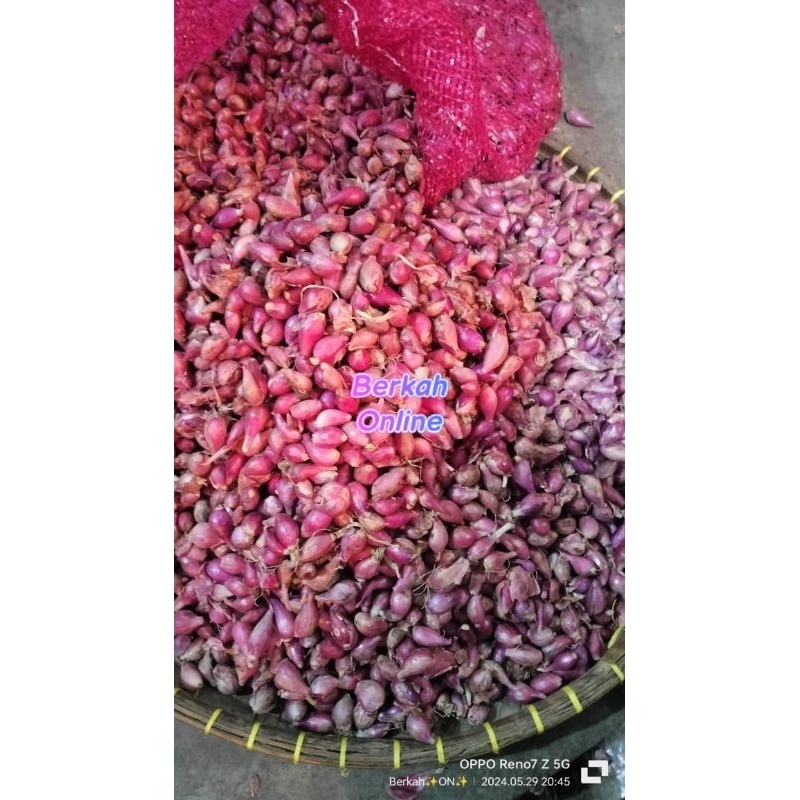 

BAWANG MERAH KECIL eceran