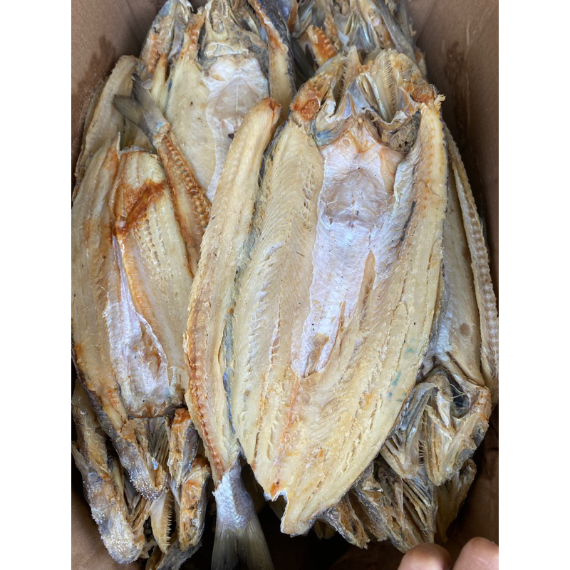 

ikan asin bloso/ ikan asin gabus harga grosir 10kg