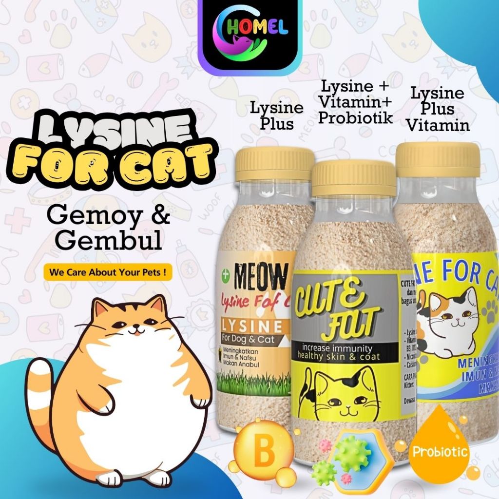 CUTE FAT Vitamin Bulu Dan Vitamin Penggemuk Kucing CHOMEL