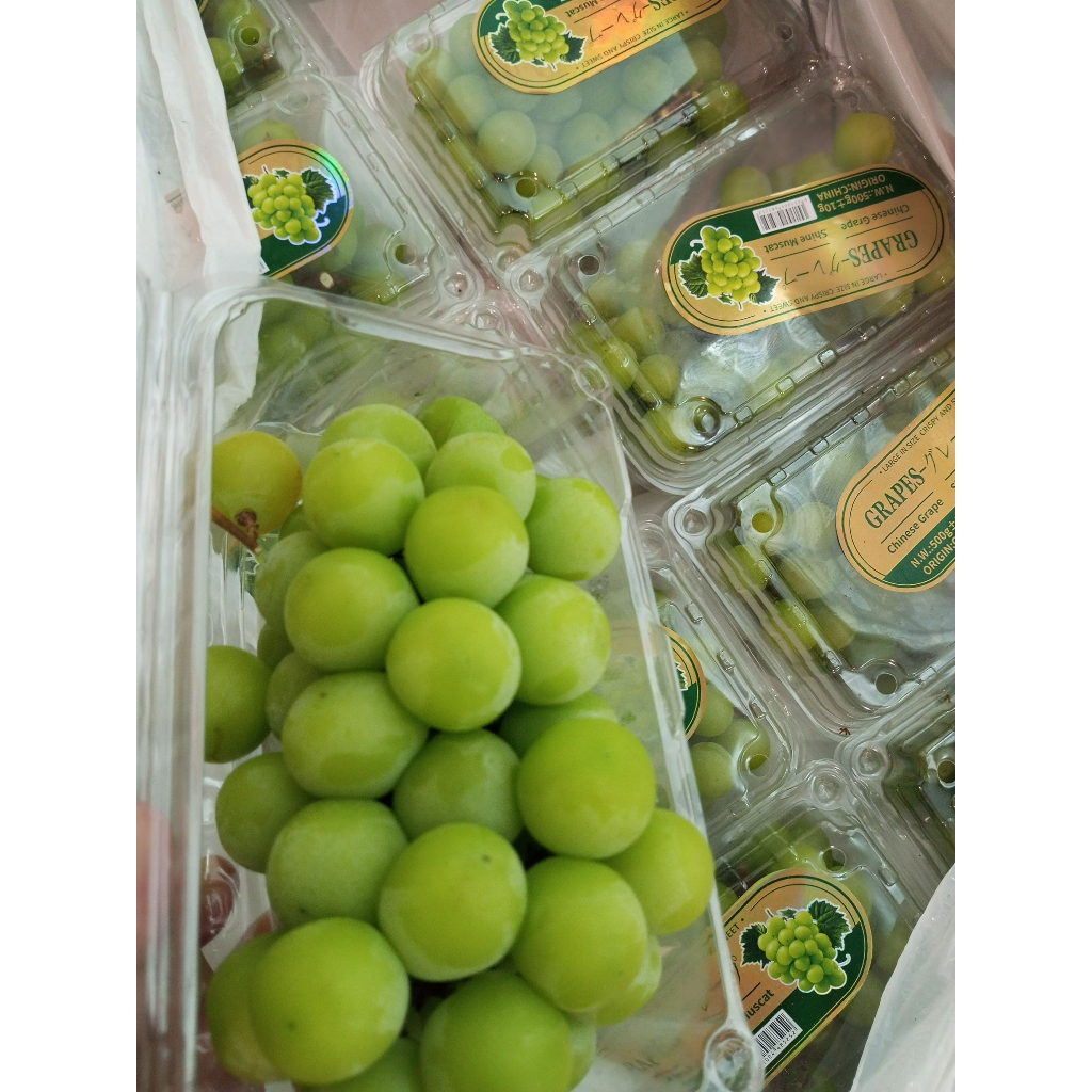 

Anggur hijau shine muscat