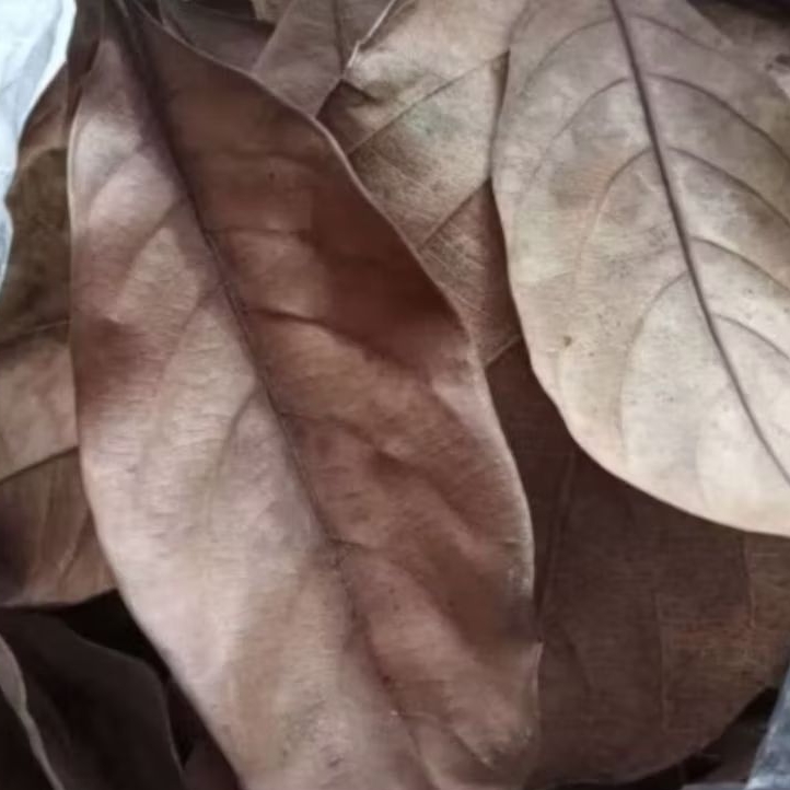 

Daun Nangka Kering Asli paket 500 gram