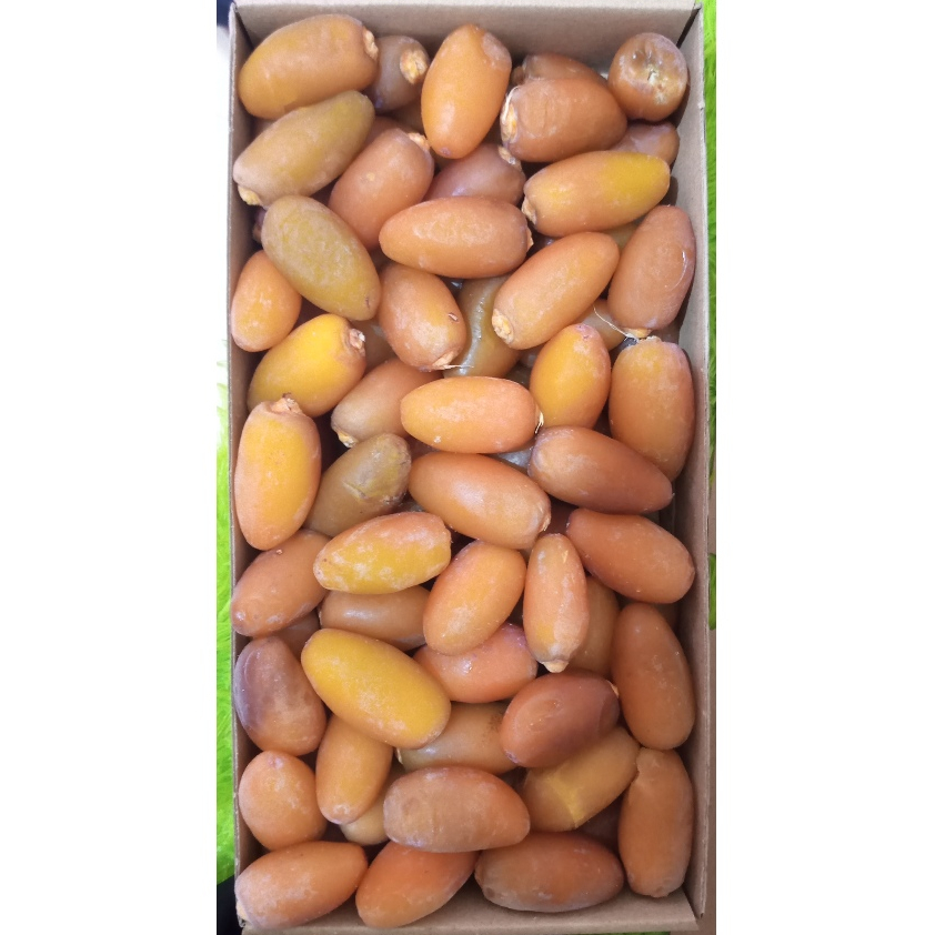 

1kg kurma ruthob libya | Kurma segar