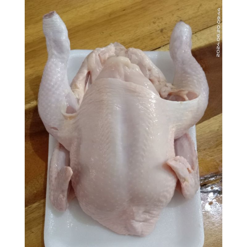 

Ayam kecil 1 ekor ( sdh dipotong2)