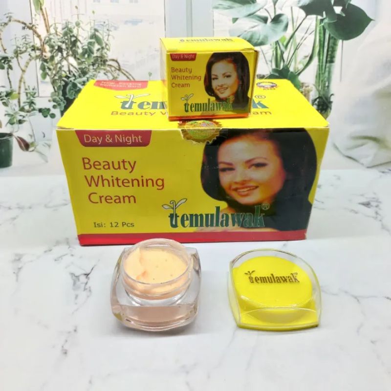 ( Lusinan ) TM BEAUTY CREAM / CREAM TEMULAWAK BEAUTY
