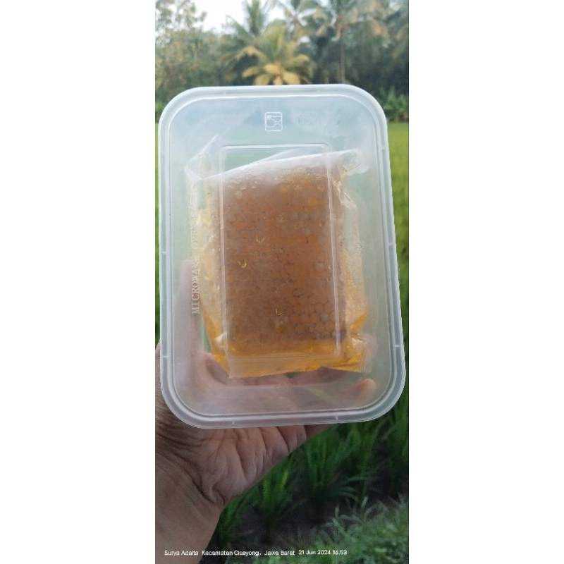 

madu sarang