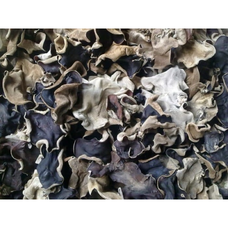 Jamur Tiram Kering 250 gram | 500 gram | 1 Kg