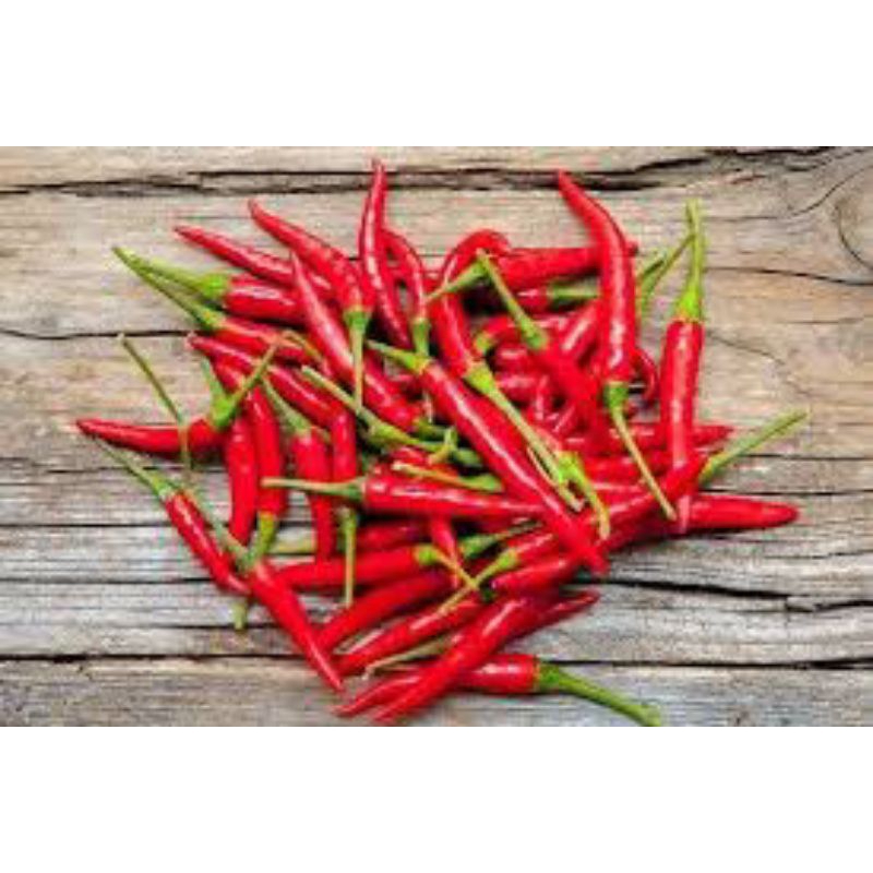 

KIRIM INSTAN CABE SEGAR