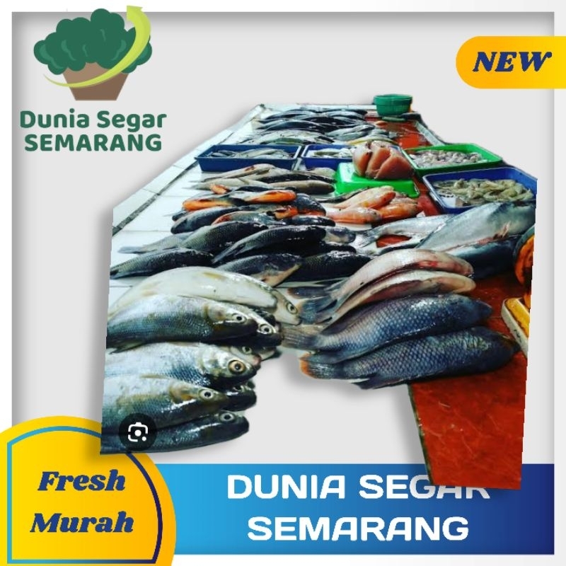 

Aneka Ikan SEGAR 500Gr lele Kembung nila gurame patin tongkol bandeng