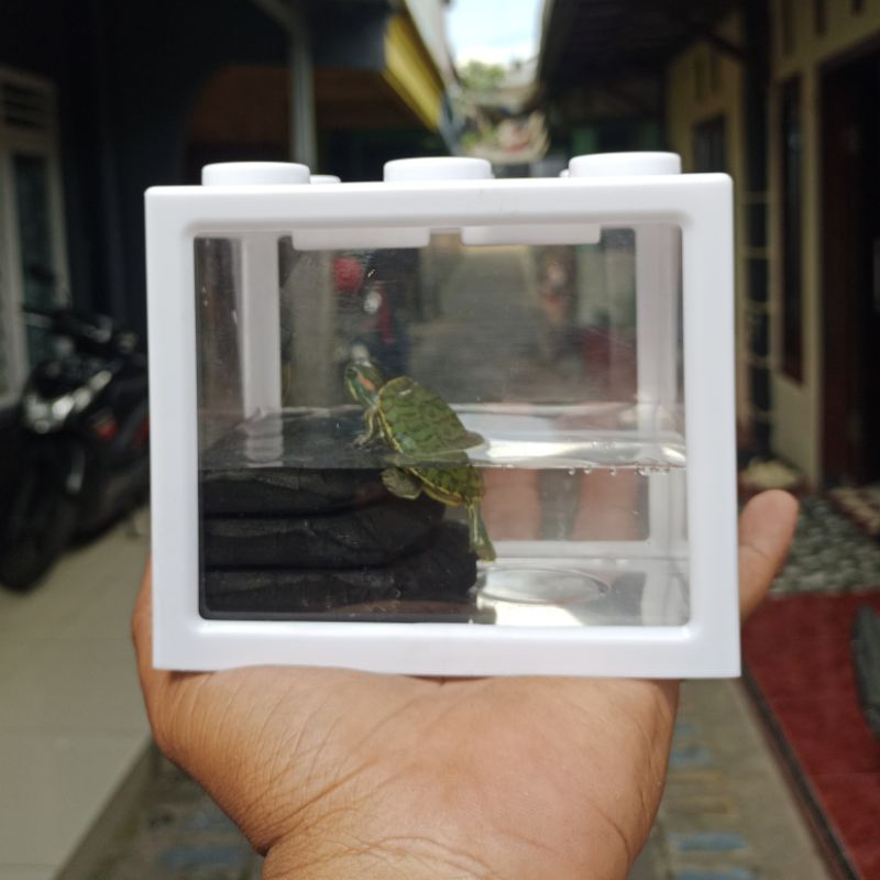 Solitare Aquarium Mini Cupang 12x8cm Akrilik Akuarium Block Ikan Hias  Kura-kura Kotak