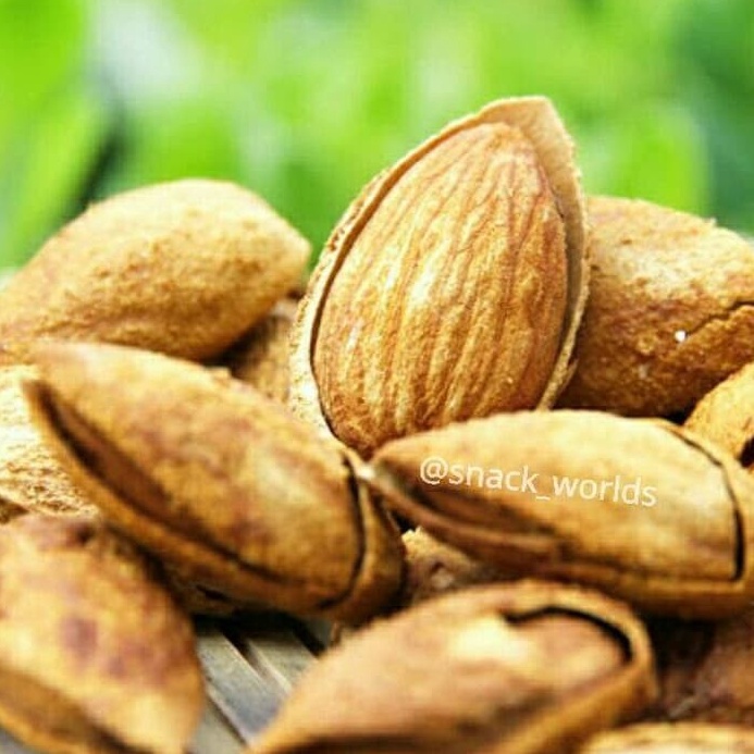 

TERJAMIN BAGUS Almond Roasted Panggang USA California KULIT CREAMY murah 25gram
