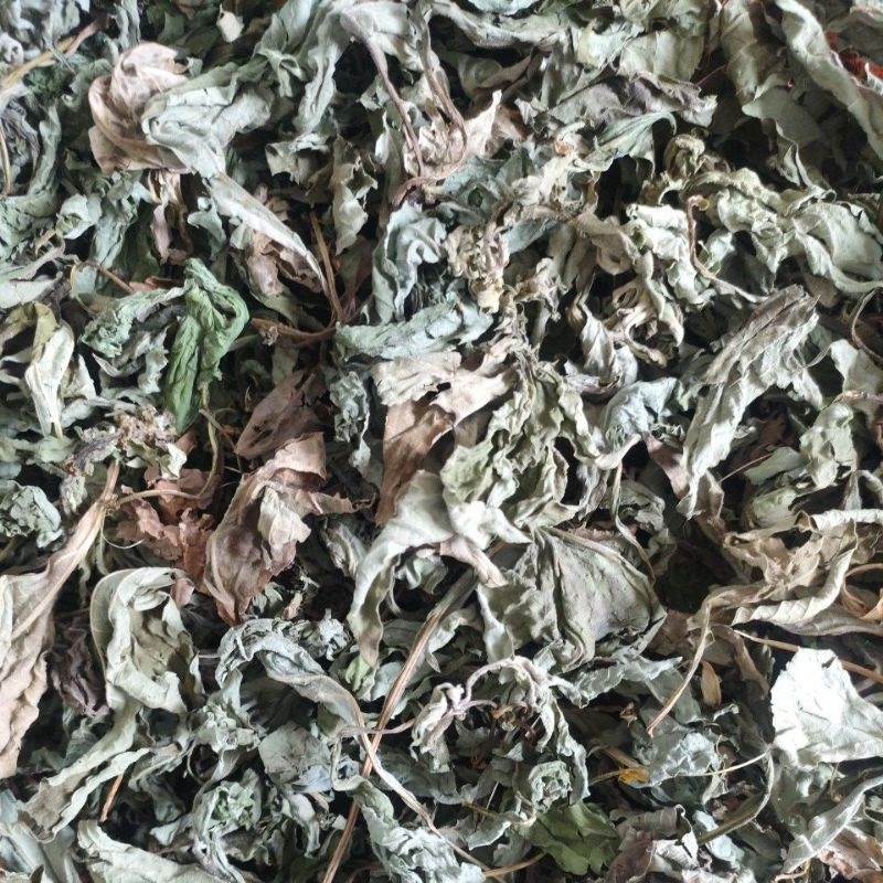 

daun insulin kemasan 1 kg