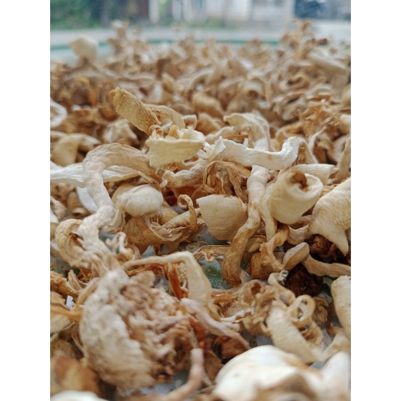 

Jamur tiram kering dried oyster mushroom 100gram bahan penyedap rasa penuh gizi