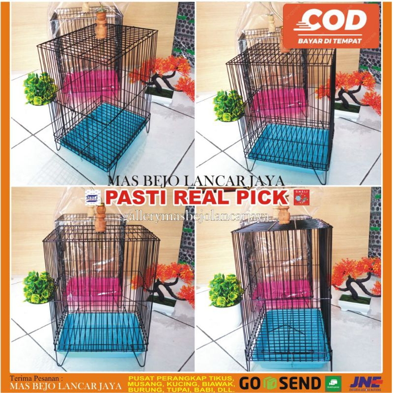 KURUNGAN BURUNG PLECI/ PRENJAK/ UNTULAN BESI