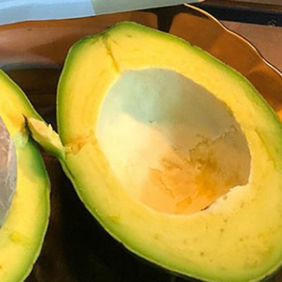 

RB Alpukat Mentega Reguler Raja Alpukat Premium Bergaransi (1KG)