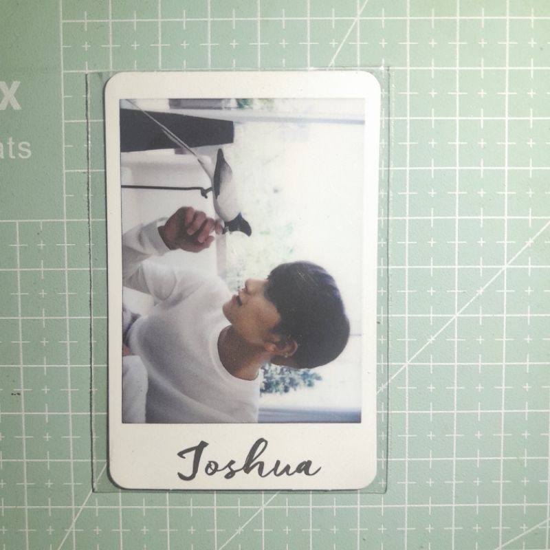 pc al1 joshua seventeen