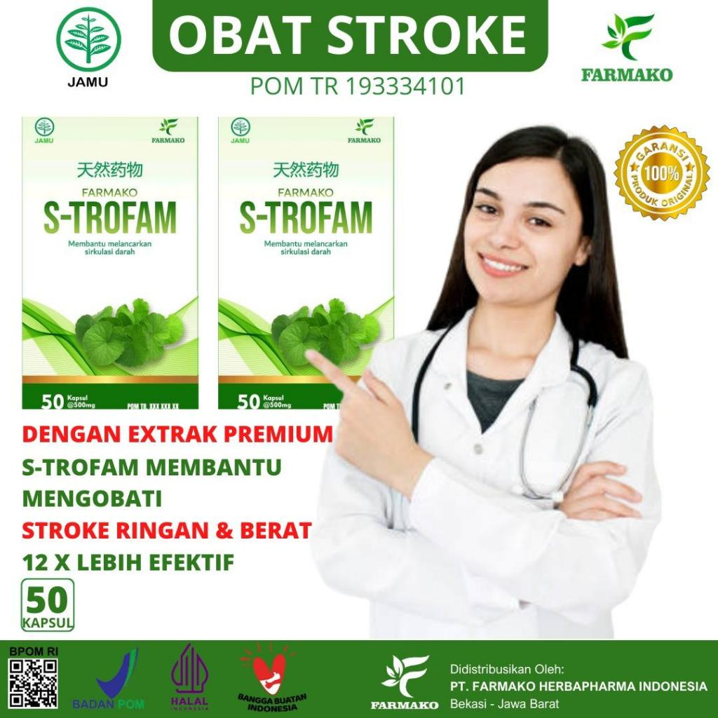 Obat Stroke Berat / Obat Struk / Obat Stroke Ringan / Obat Struk Ringan / Obat Stroke Paling Ampuh