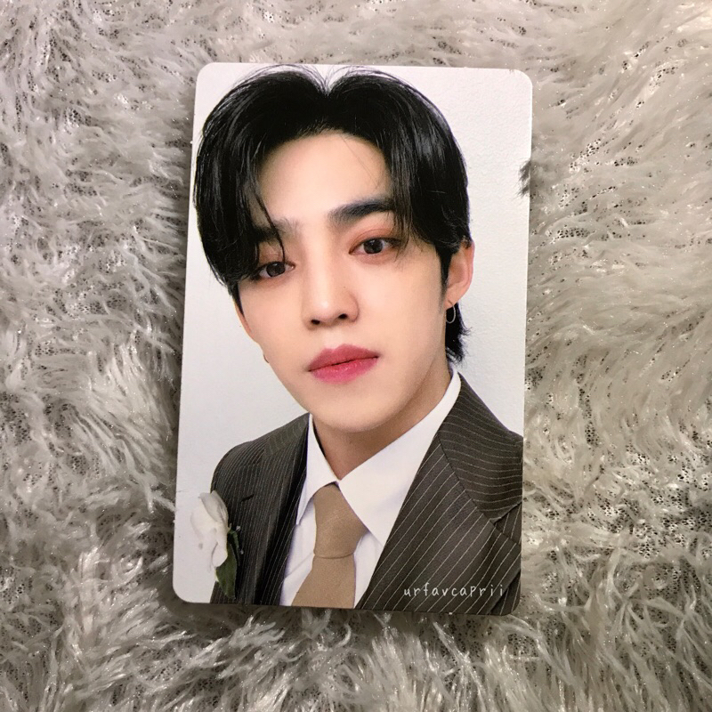 Scoups Incomplete DVD Bluray Seventeen