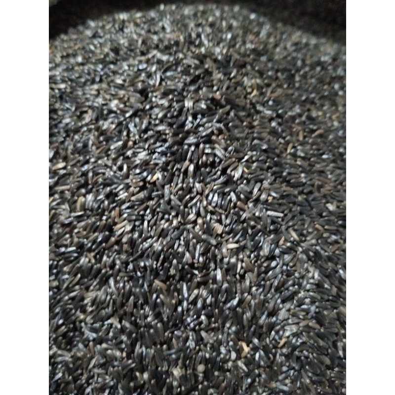 1 kg Niger Seed pakan burung kenari, love bird