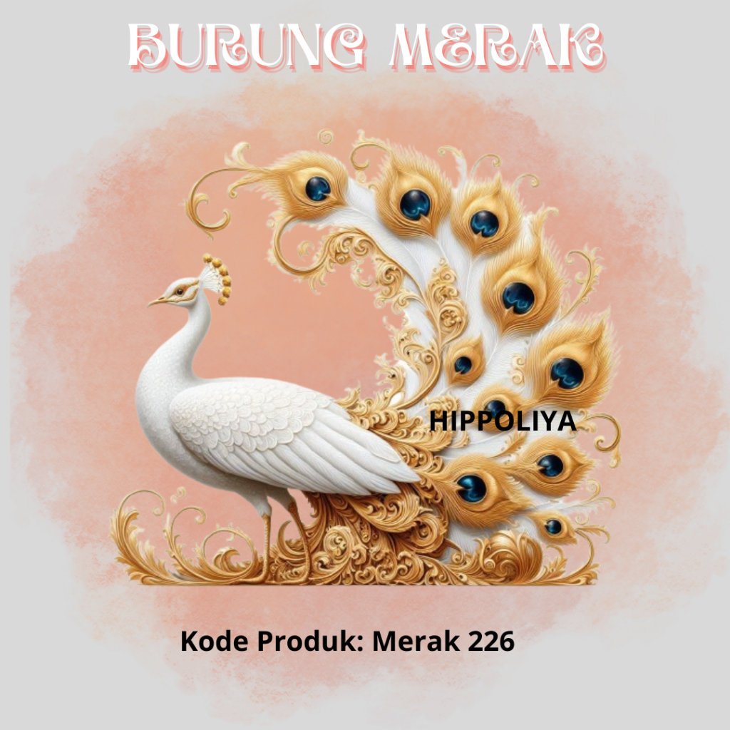 BURUNG MERAK SESERAHAN // HIASAN BUKET // BURUNG MERAK LANGKA // BURUNG MERAK GOLD