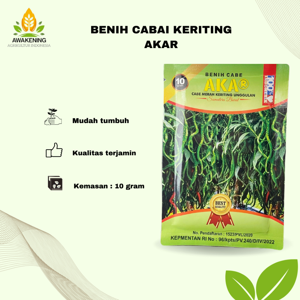 BENIH CABE KERITING AKAR 10GRAM