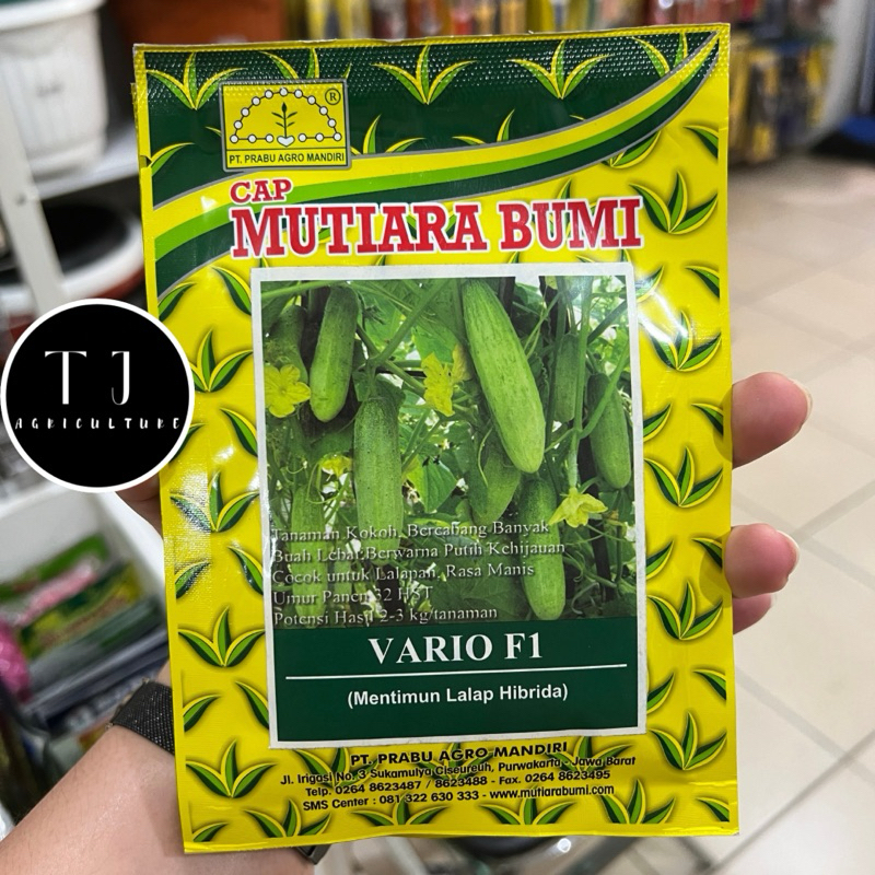 Benih Timun Lalap Vario F1 20gr Mutiara Bumi