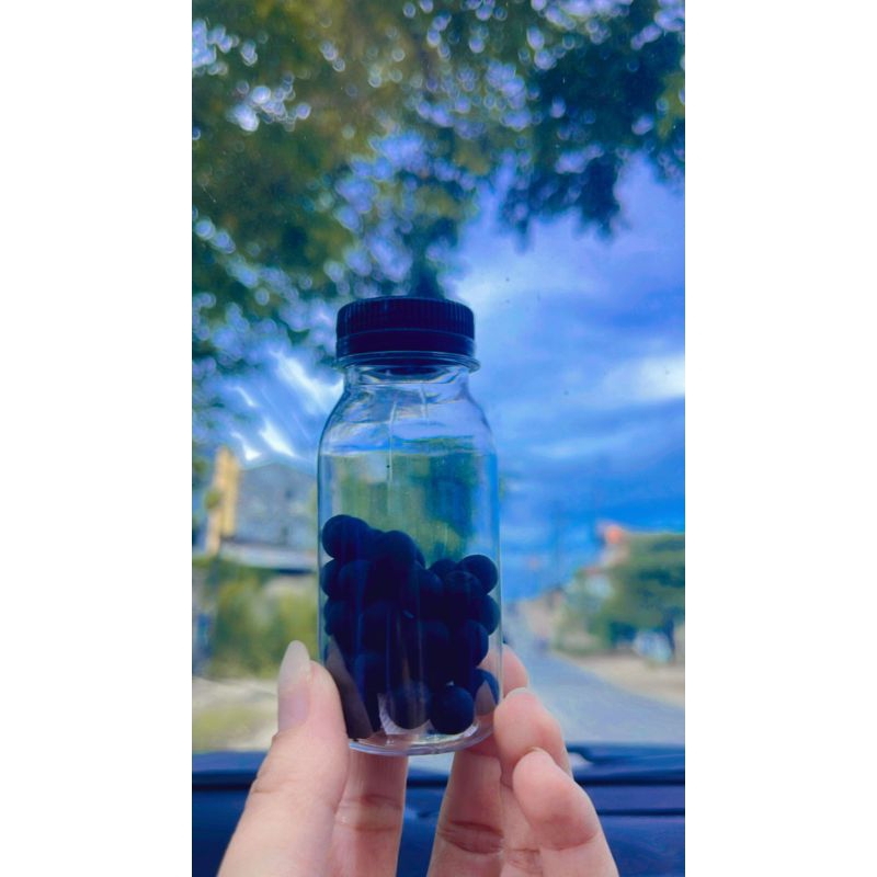 

jamu nafsu makan