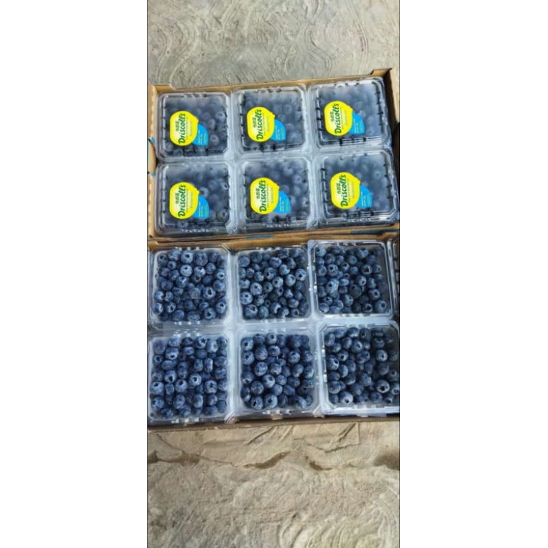 

Buah Blueberry 125gram