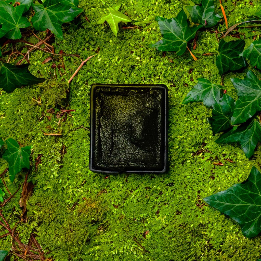 

Dreamy Poppies x Mbetand Ivy Metallic Watercolor