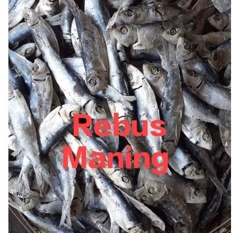 

Ikan Rebus Maning ½ kg 500 gram