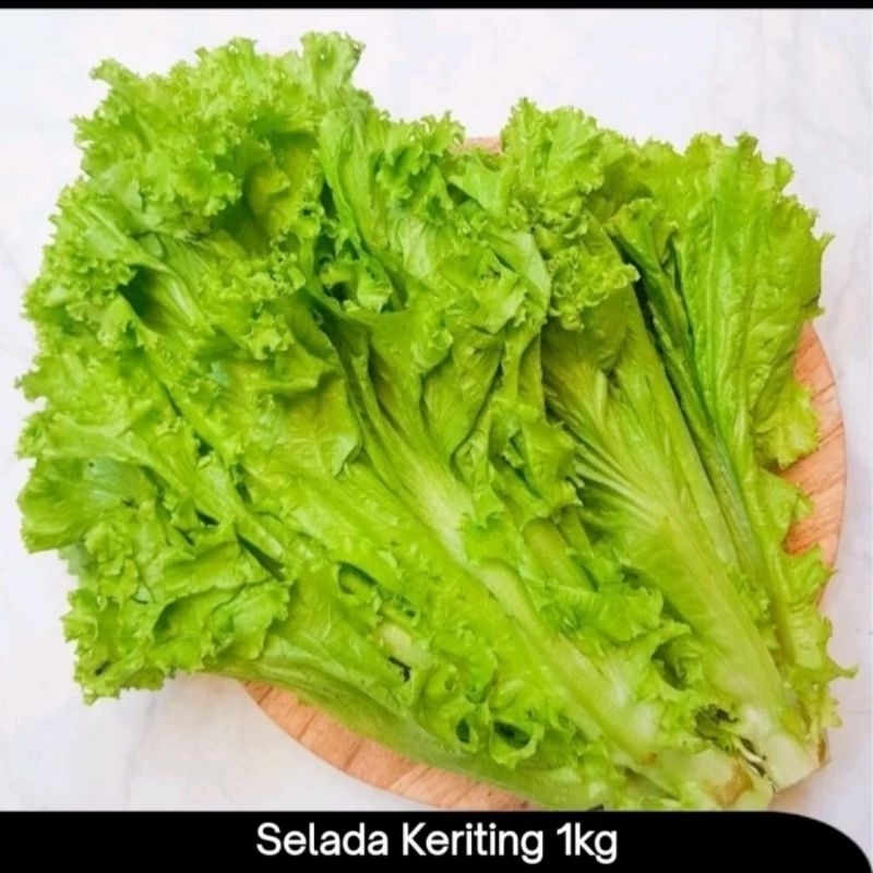 

Selada Kerting 1kg