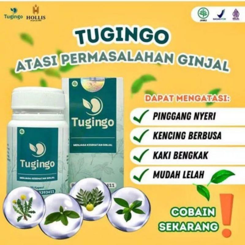 Tugingo Asli Original Obat Batu Ginjal Herbal Ampuh Solusi Cepat Mengatasi Penderita Batu Ginjal Tan