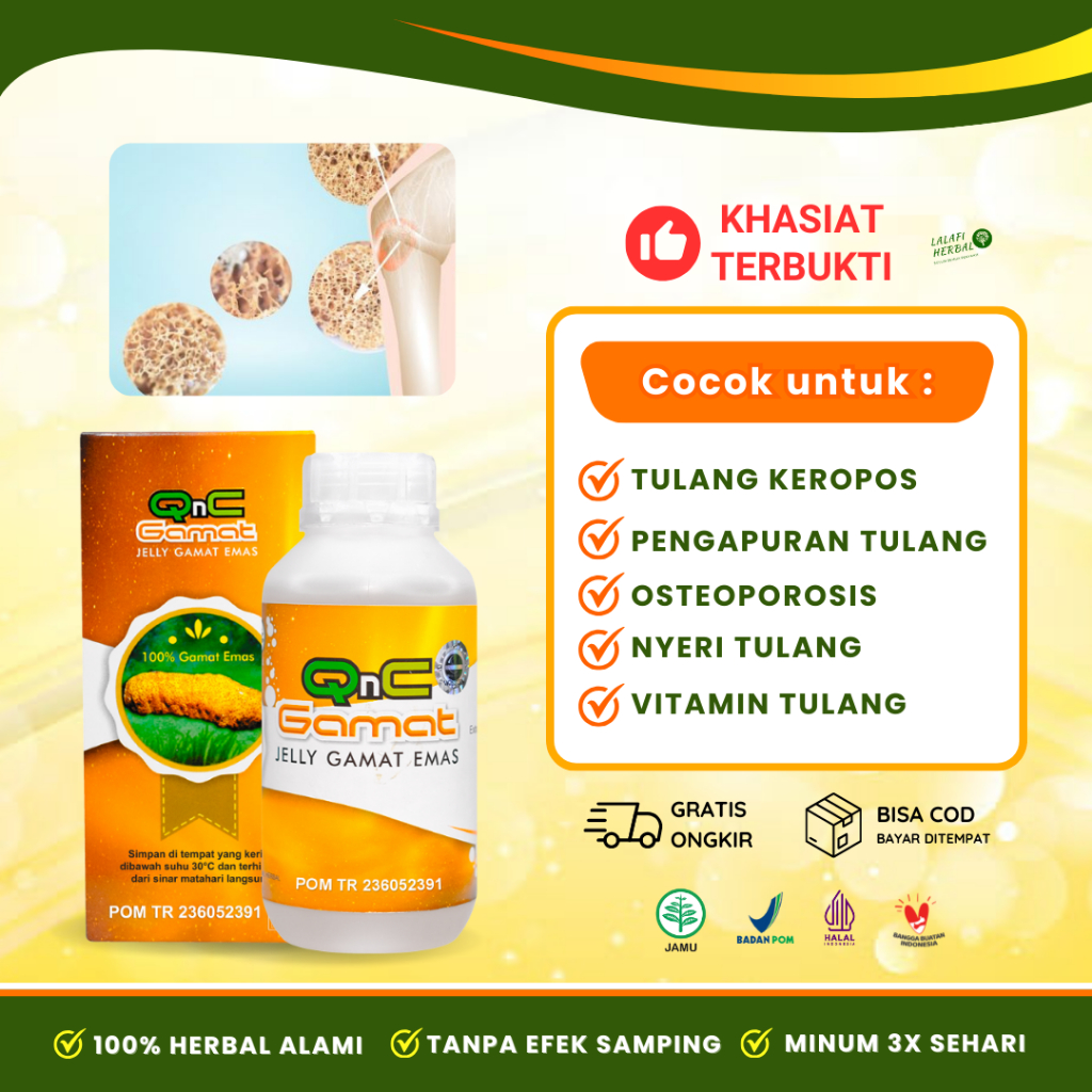 QnC Jelly Gamat Obat Tulang Keropos Pengapuran Osteoporosis