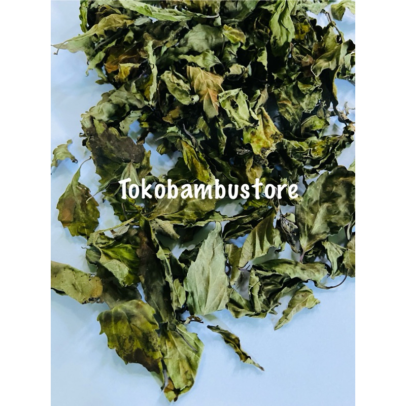 

Jual daun kumis kucing kering Murni daun-az