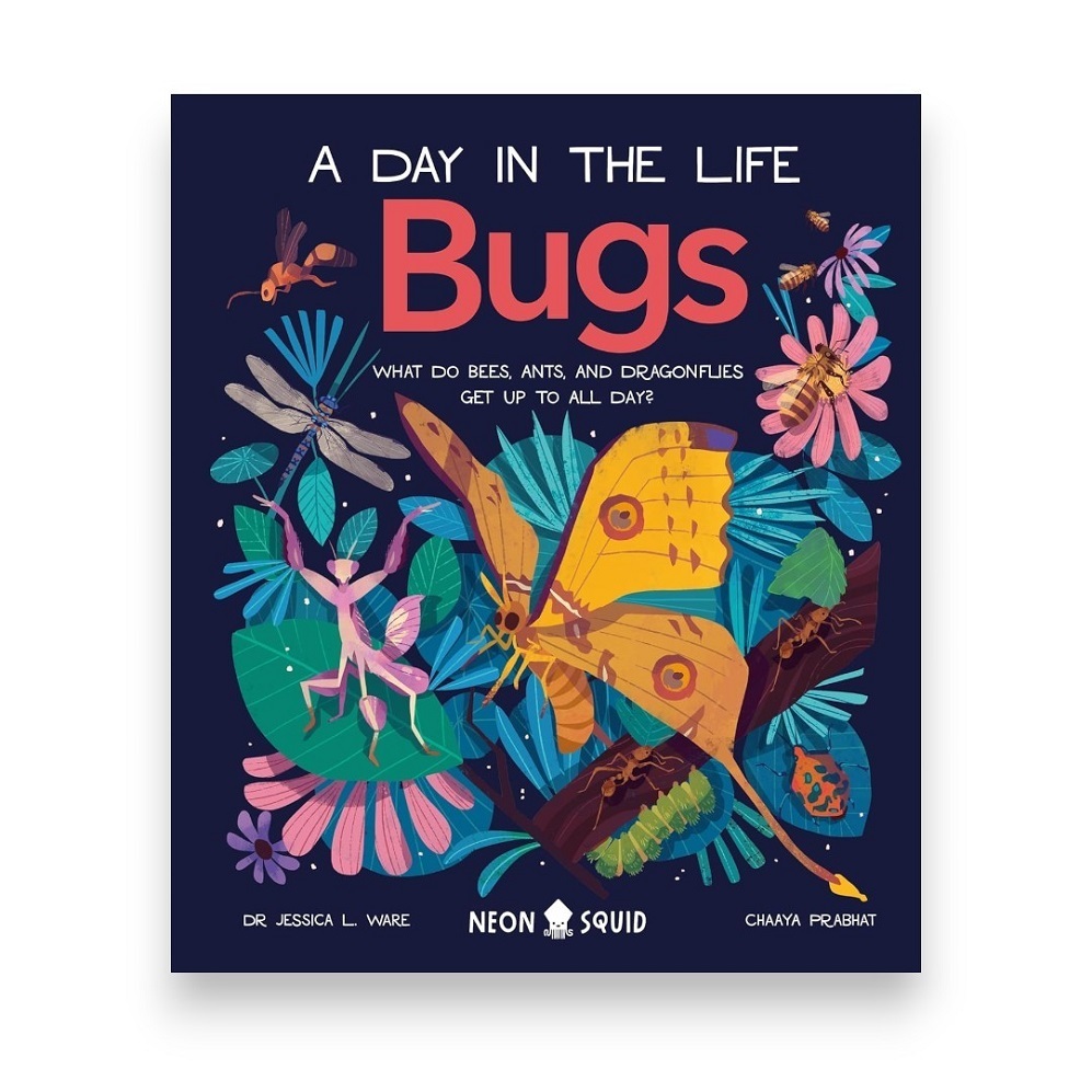 BUGS A DAY IN LIFE | 9781838991555