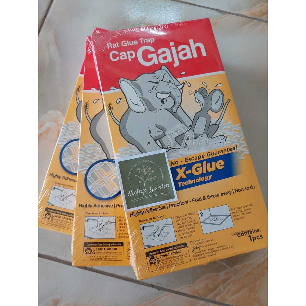 Lem Perangkap Tikus dan Hama Cap Gajah 60gr | Lem Tikus Cap Gajah Lem Perangkap Tikus dan Hama