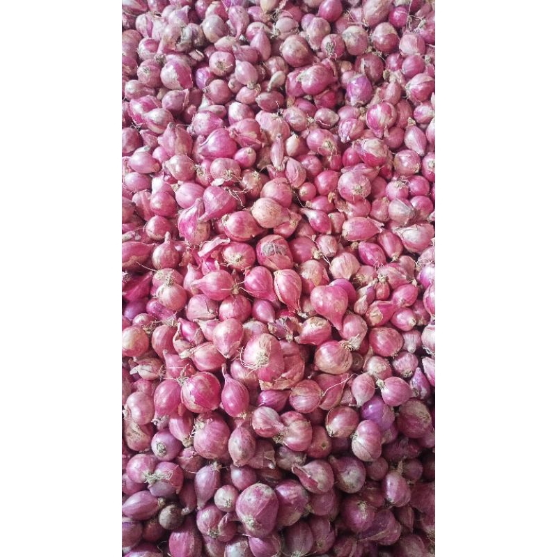

bawang merah 500 gram murah ( campur )