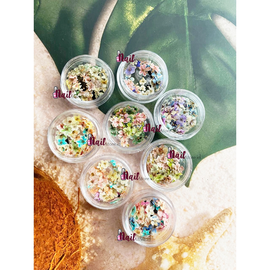 1 SET Bunga nail art nail dry flower dried flowers dry flower dried flowers bunga kering aksesoris S