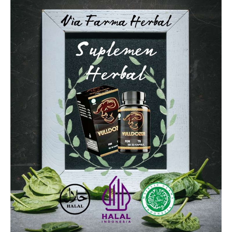 Suplemen VULLDOZER - Suplemen herbal untuk memelihara kesehatan tubuh