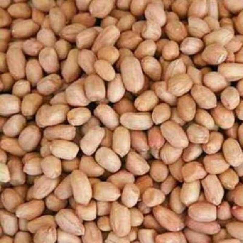 

Kacang tanah 250 gram