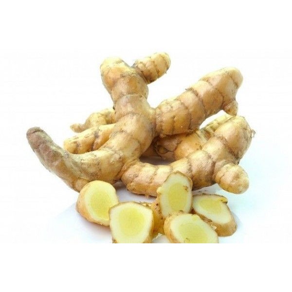 

Kunyit putih/kunir putih/Temu Putih segar (Curcuma Zedoaria)