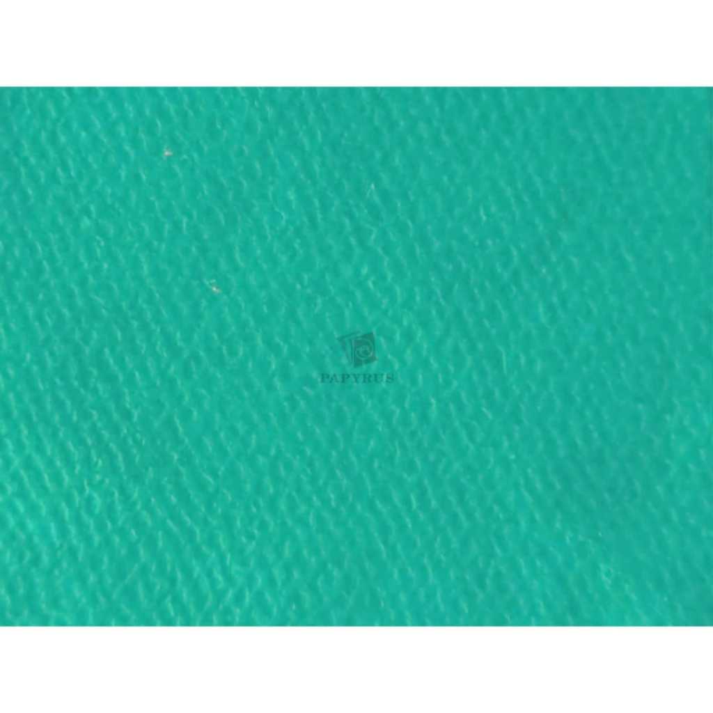 

KERTAS FANCY / KERTAS HAWAI / FANCY HAWAI TOSCA GREEN 109 CM X 79 CM 220 GSM