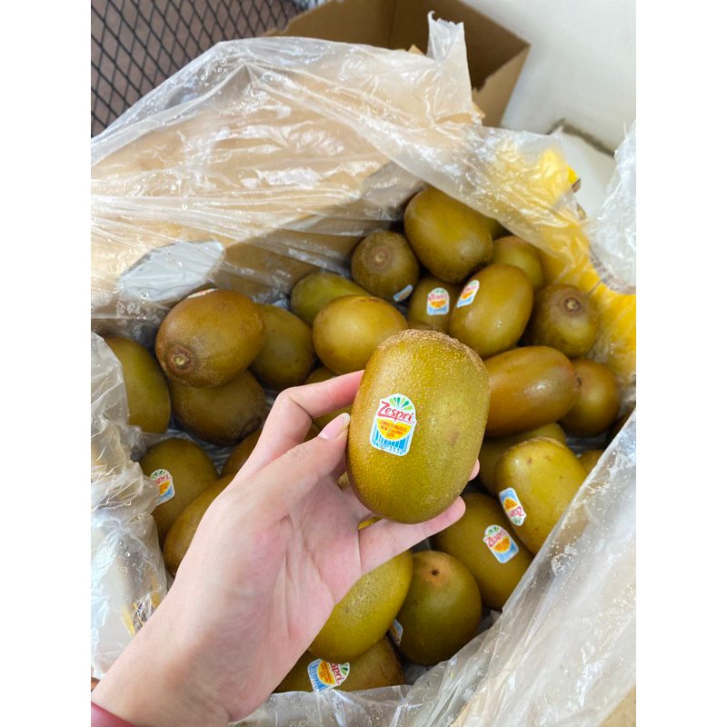 

kiwi gold palembang ready siap kirim