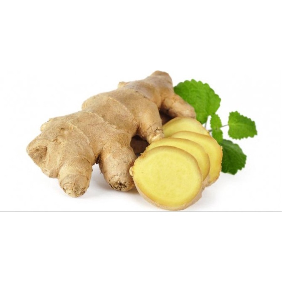 

Jahe Putih White Ginger 1 kg