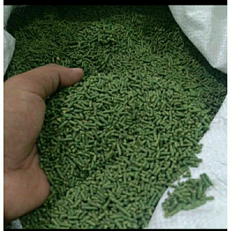 VOER HIJAU KILOAN POR IJO KILOAN PAKAN BURUNG PUR 521 1 KG