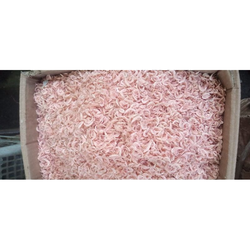 

rebon merah